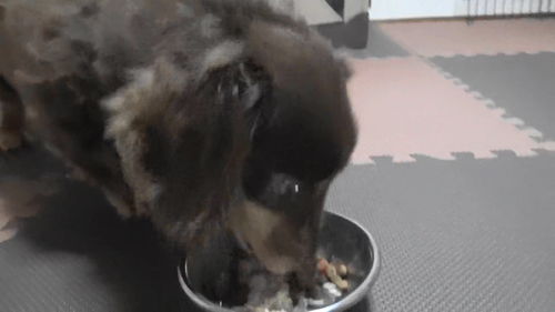 ご飯はばっちり完食！